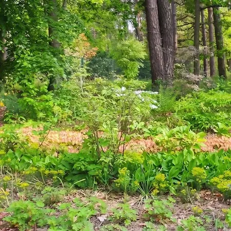 Maison De Charme A Arbonne-la-foret Avec Terrasse-jardin Verdoyant 別荘 *